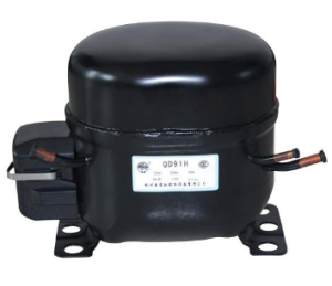 ABSOLUTE SOURCE FOTO 26